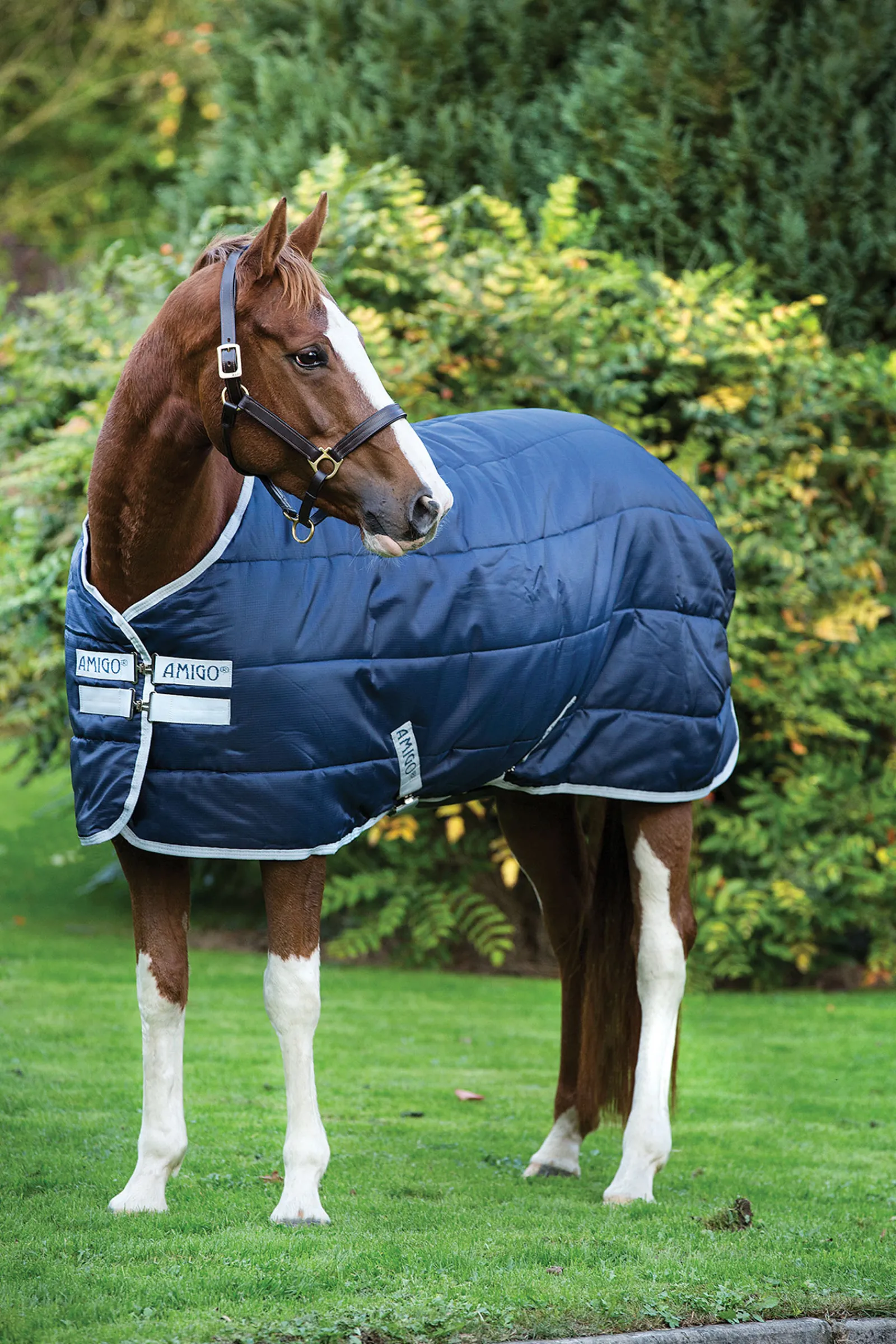 Hot horseware Amigo Talliloimi, 200G Dark Blue/Silver