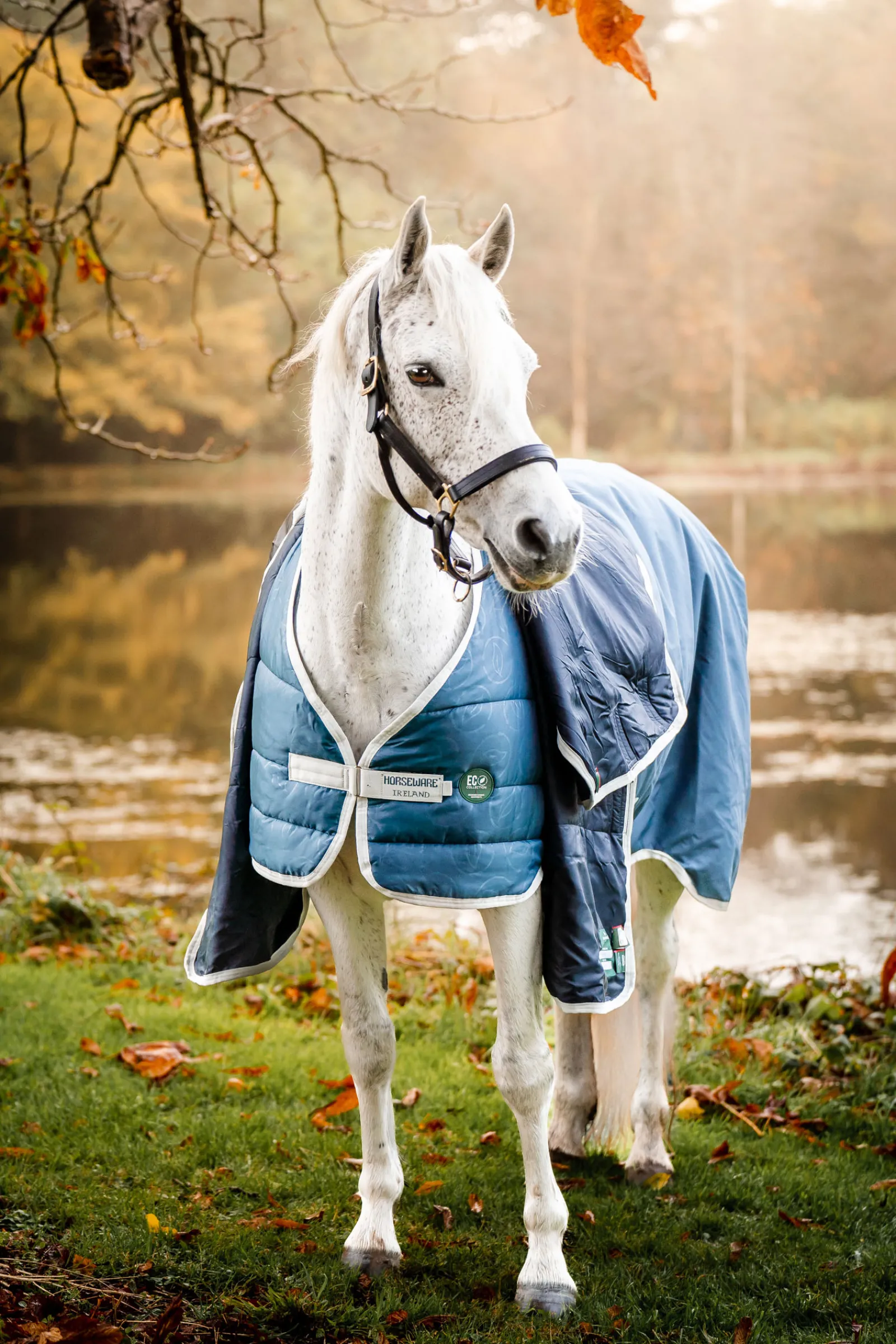 Hot horseware Eco Alusloimi, 300 G Teal/ Grey