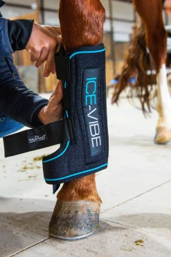 Hot horseware Ice-Vibe Kylmayssuojat Black/Aqua Blue