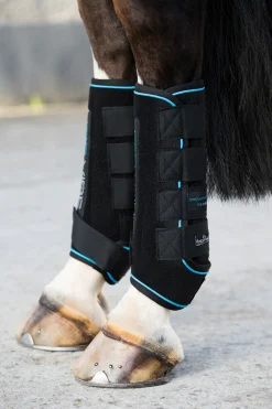 Hot horseware Ice-Vibe Kylmayssuojat Black/Aqua Blue