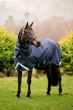 Online horseware Rambo Duo Force Ulkoloimi Irrotettavalla Kaulakappaleella, 0 G Dark Blue/Dark Blue/White
