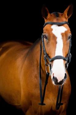 Outlet horseware Rambo Micklem 2 Deluxe Competition Suitset Black