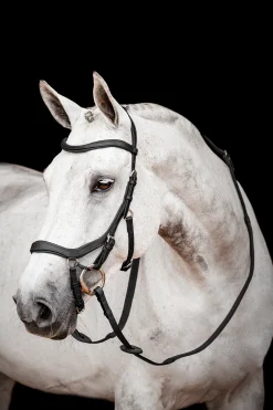 Hot horseware Rambo Micklem 2 Competition Suitset Black