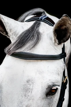 Best horseware Rambo Micklem 2 Multi Suitset Black