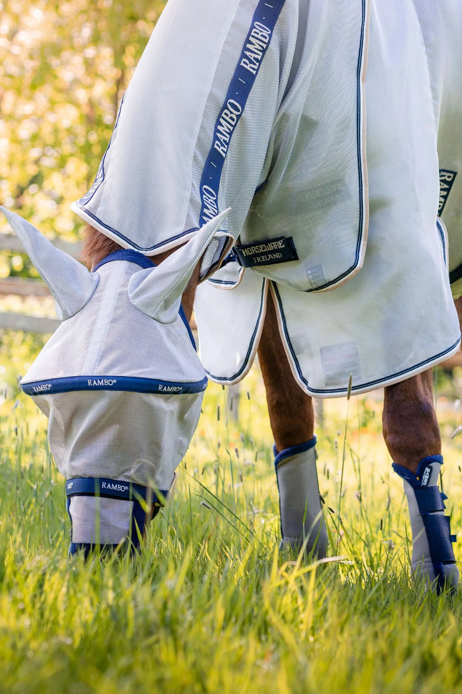 Outlet horseware Rambo -Suojaloimi Silver/Dark Blue