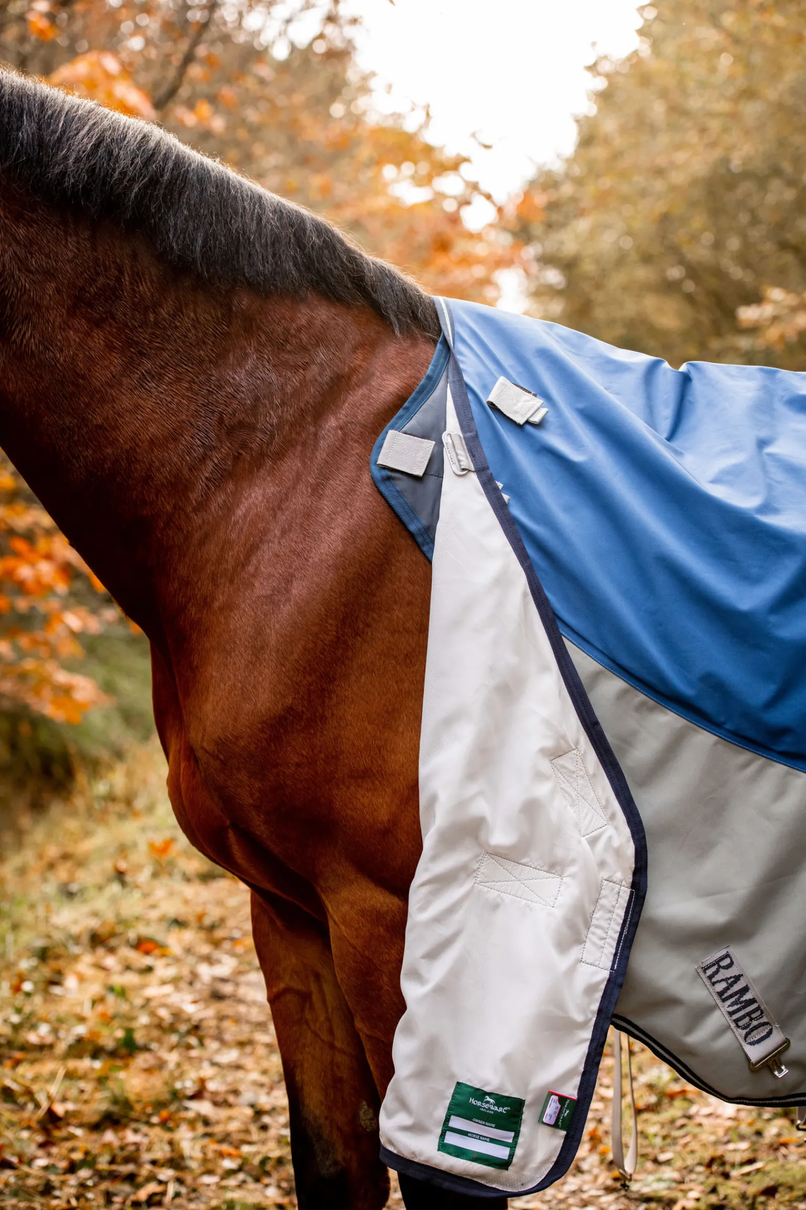 horseware Rambo Syysmallisto Navy/Grey