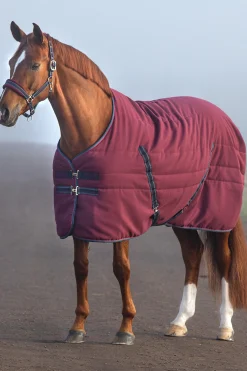Online horseware Rambo Talliloimi Kohokuvioidulla Vuorauksella, 100 G Burgundy/Burgundy/ Teal/ Navy