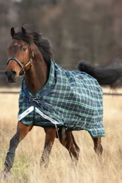 horseware Rhino Wug Lite Ulkoloimi 100 G Hunter Green/ Navy