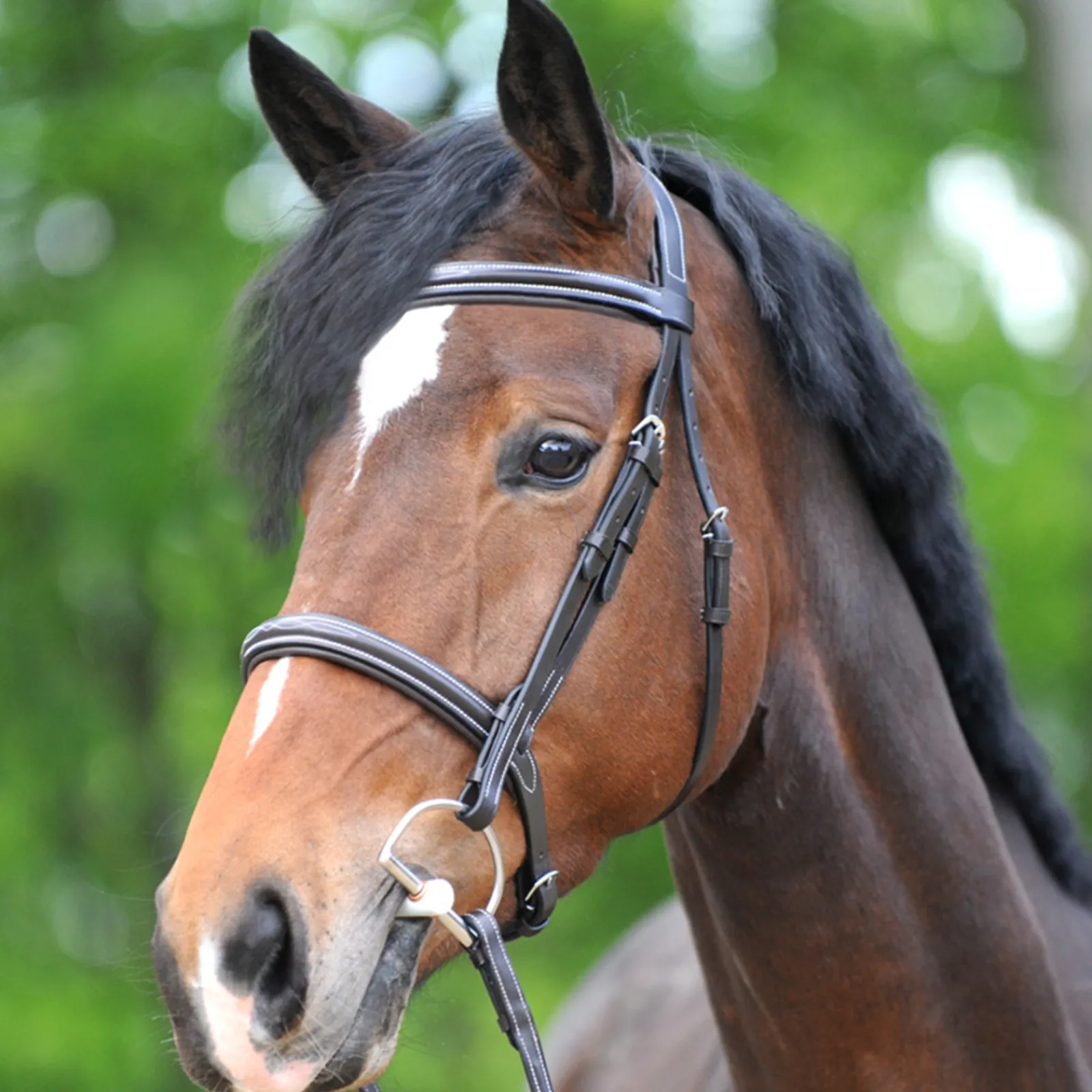 Online kavalkade Akila Hunter Suitset Brown