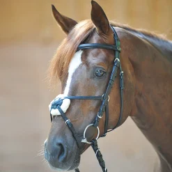 Hot kavalkade Carlos Meksikolaiset Suitset Black