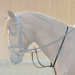 Online kavalkade Ecoline Martingaali Stoppareilla Black