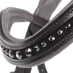 New kavalkade Ella Kavalsh4 Suitset Black