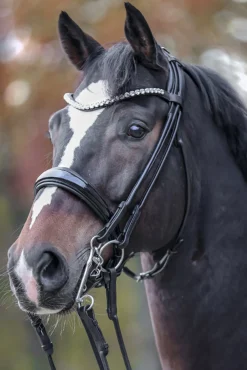 Best kavalkade Fleur Double Bridle Black/Patent Grey