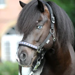 New kavalkade Iceland Classic Riimu Black