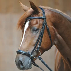 kavalkade Line Ecoline Suitset, Hannoverilaisella Turpahihnalla Black