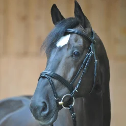 Clearance kavalkade Quentin Ecoline Suitset, Kaksoisturpahihnalla Black