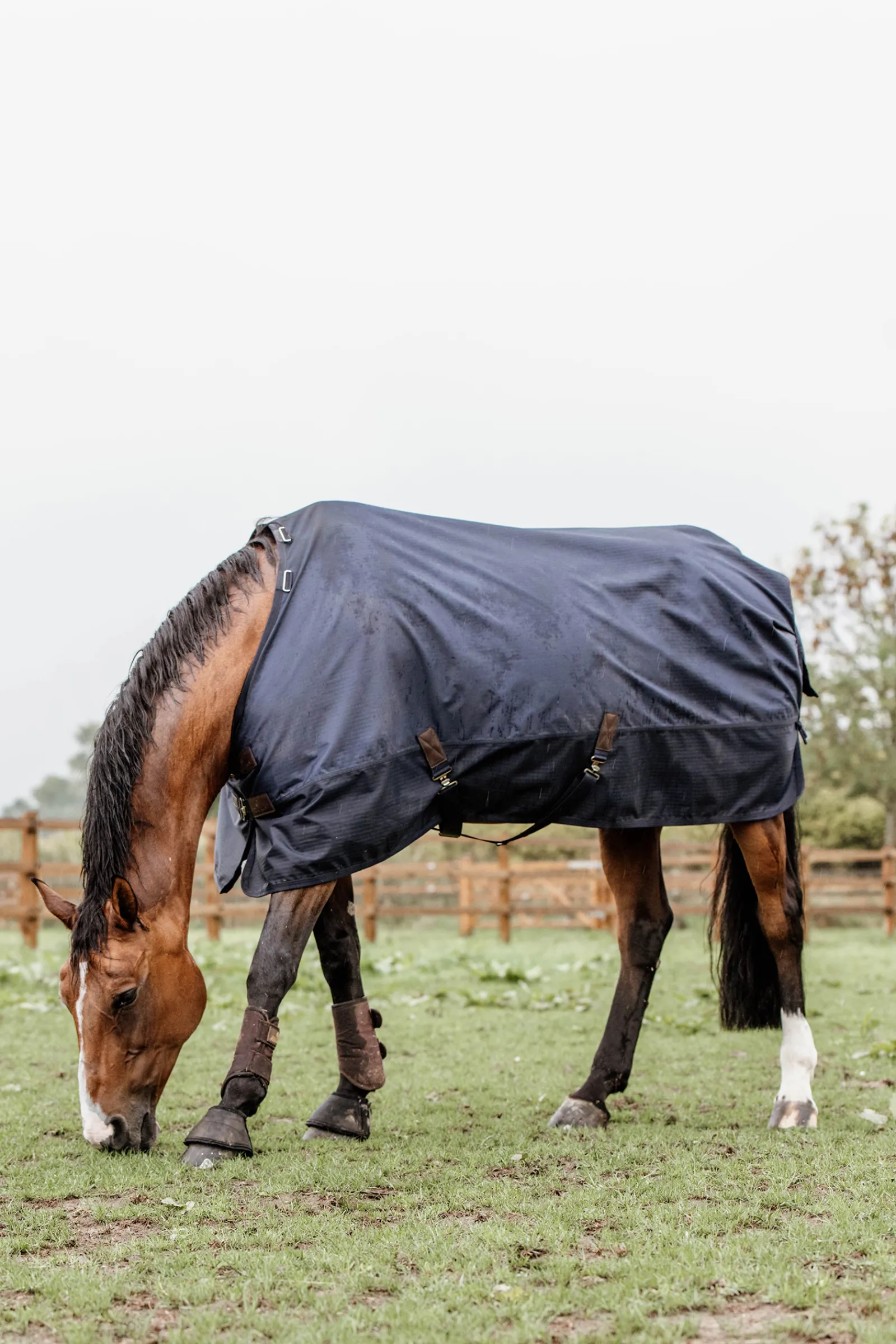Sale kentucky Horsewear All Weather Ulkoloimi, 300 G Db/Ab