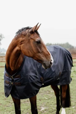 Sale kentucky Horsewear All Weather Ulkoloimi, 300 G Db/Ab