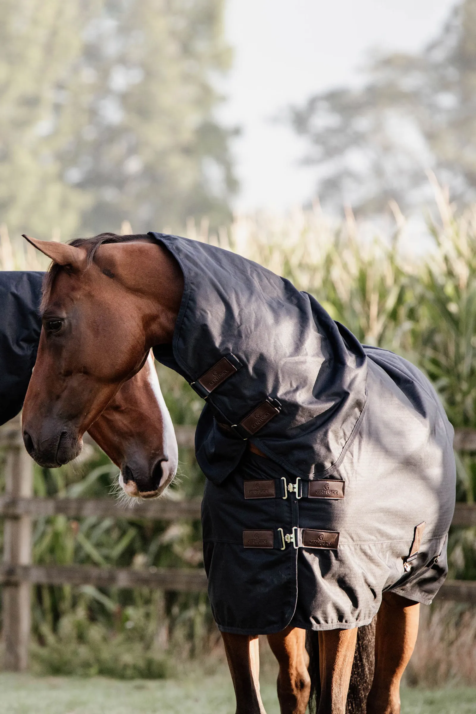 Best kentucky Horsewear All Weather Waterproof Classic Ulkoloimi, 0 G Db/Ab