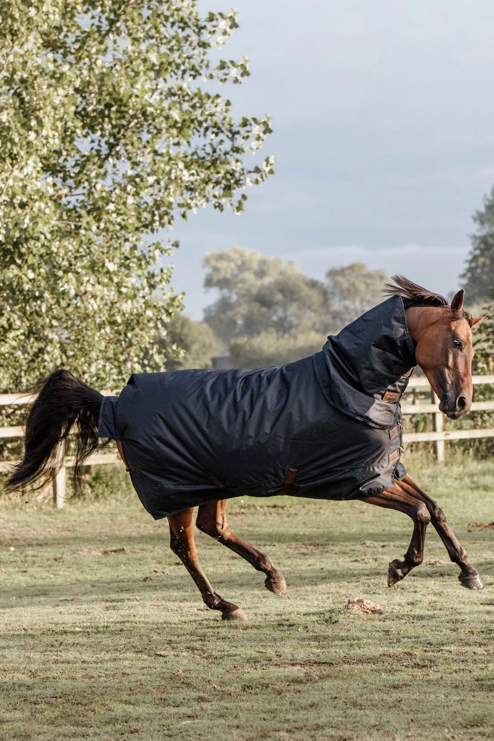 Best kentucky Horsewear All Weather Waterproof Classic Ulkoloimi, 0 G Db/Ab