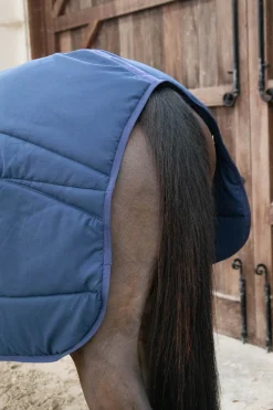 kentucky Horsewear Classic Talliloimi, 300 G Db/Ab