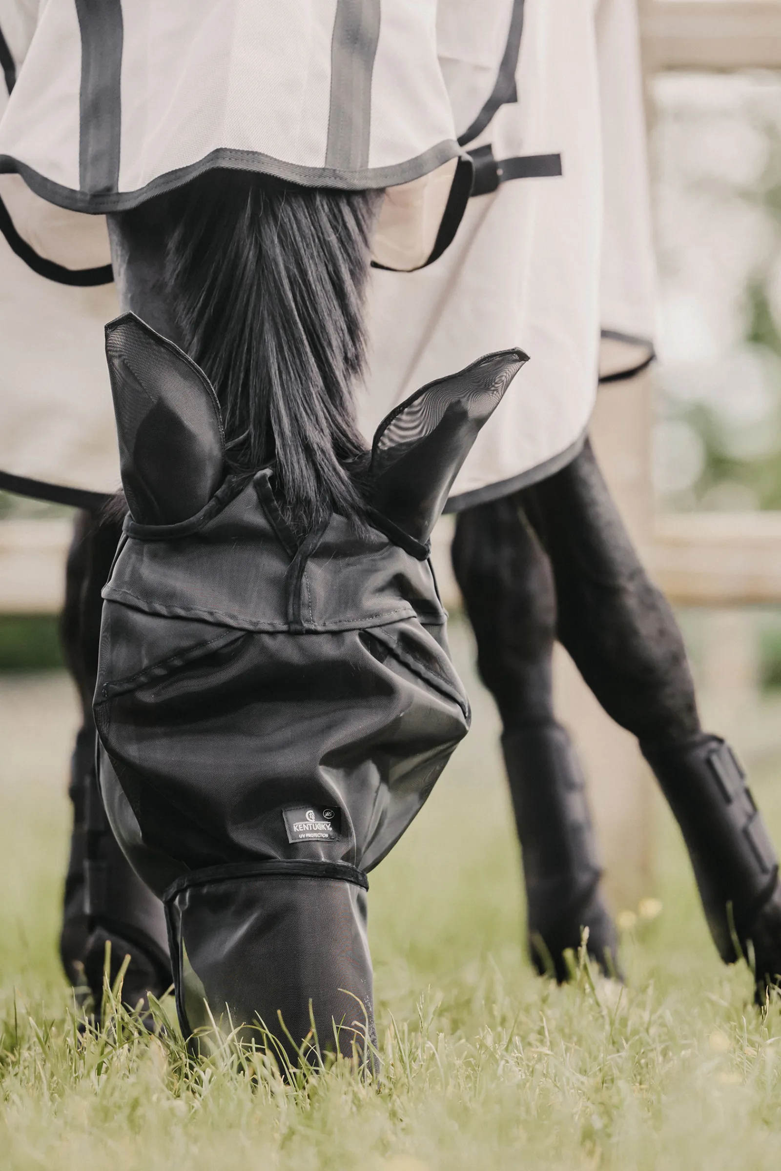 Best kentucky Horsewear Classic Karpasmaski Korvilla Ja Turpasuojalla Black