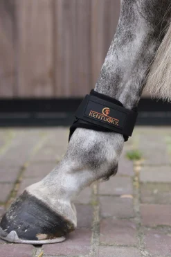 Outlet kentucky Horsewear Hivutussuojat Nuorille Hevosille Black