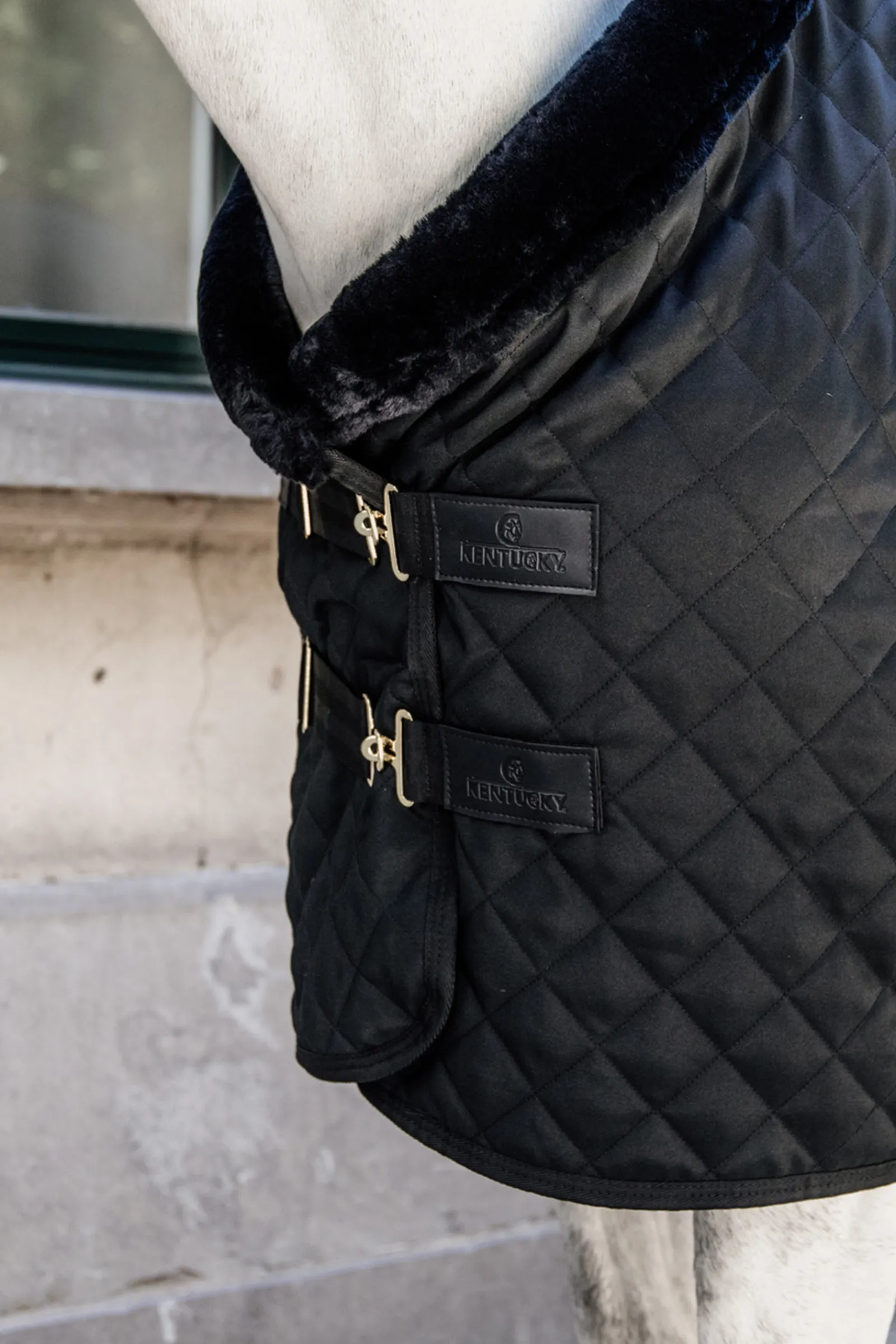 Outlet kentucky Horsewear Kilpailuloimi, 160 G Black/Black