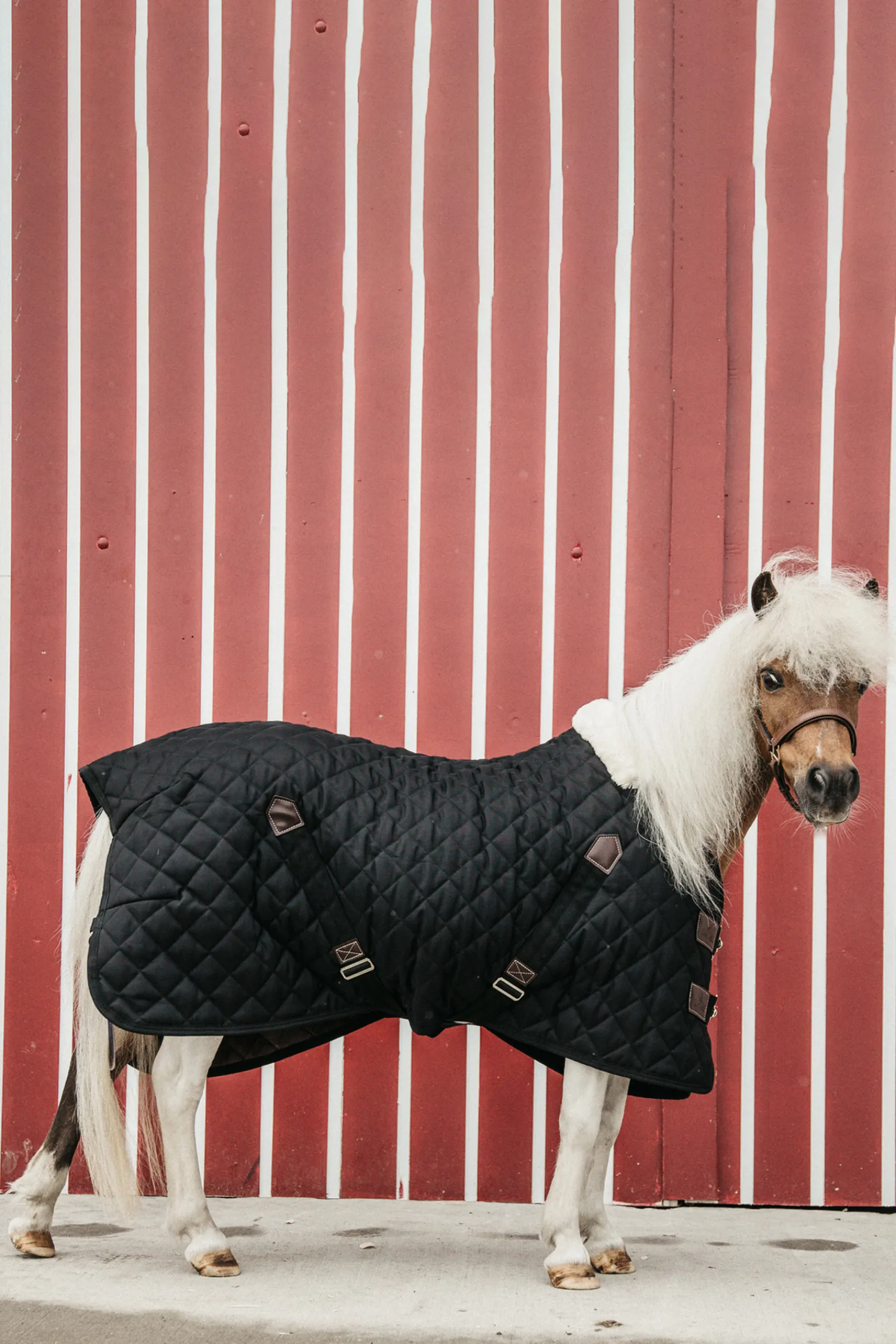 Sale kentucky Horsewear Talliloimi, 400 G Black