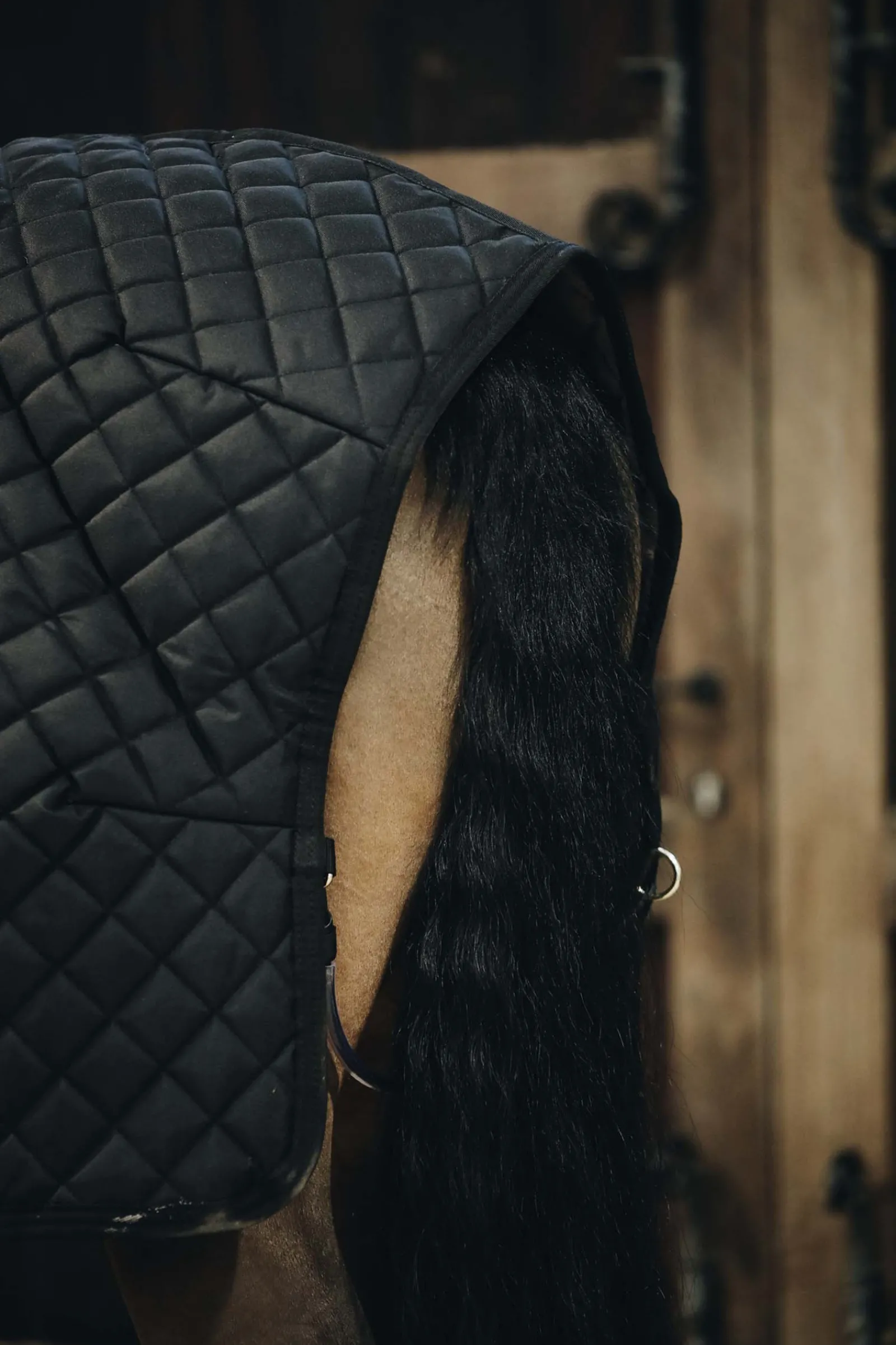 Sale kentucky Horsewear Talliloimi, 400 G Black