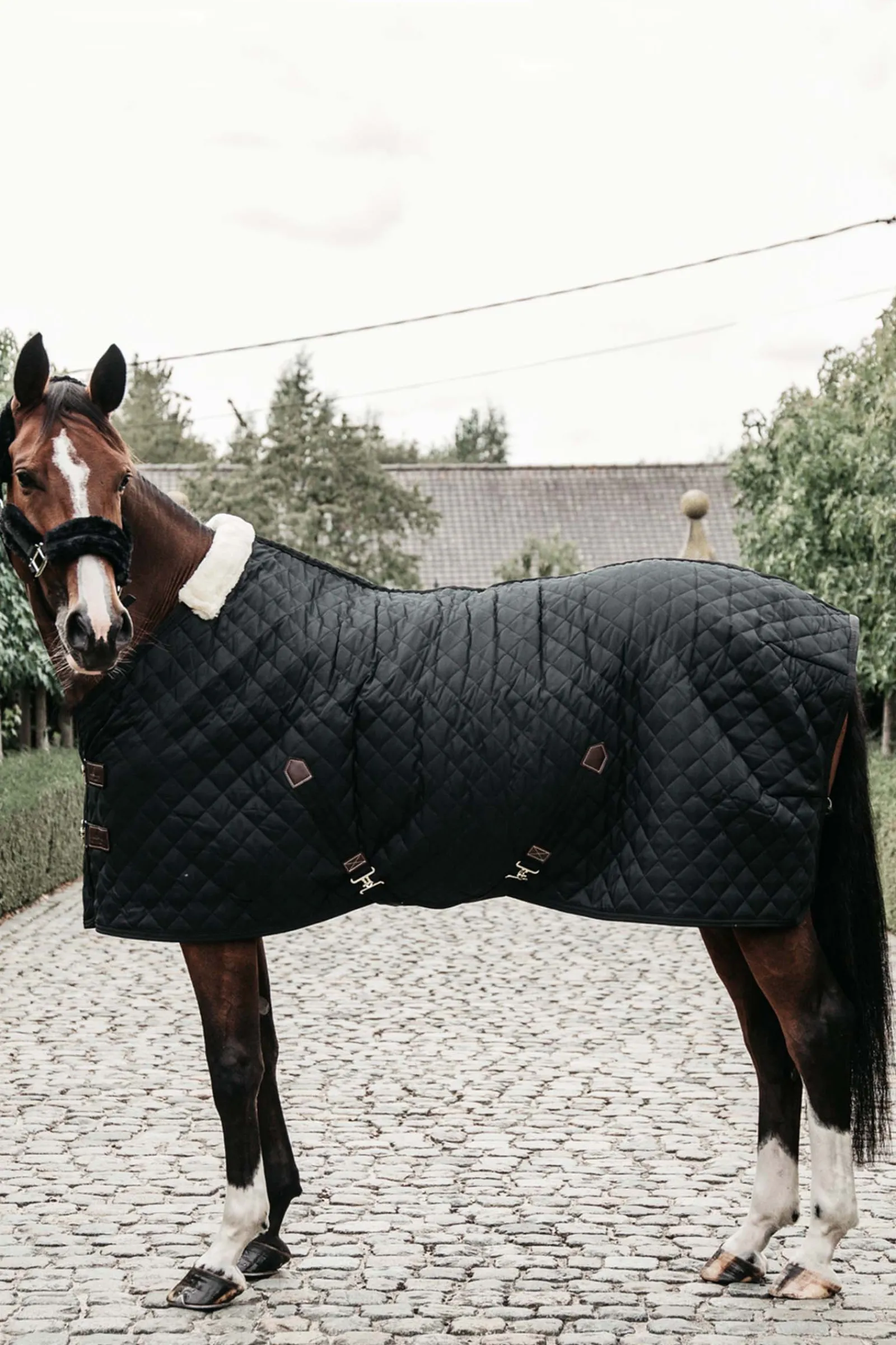 Sale kentucky Horsewear Talliloimi, 400 G Black