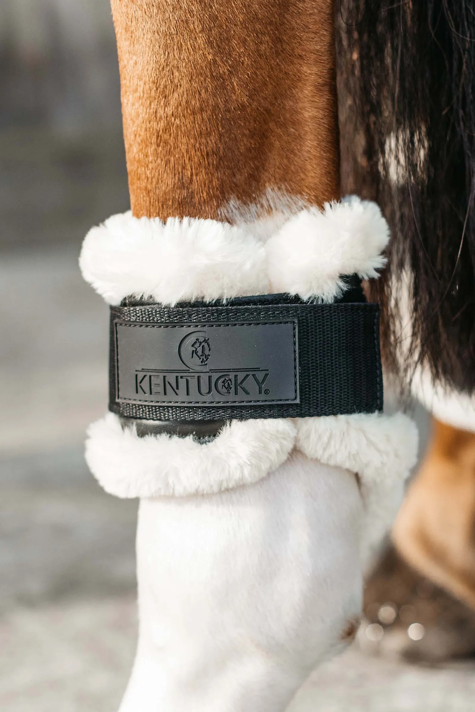 Online kentucky Horsewear Vegan Sheepskin Hivutussuojat Nuorille Hevosille Black