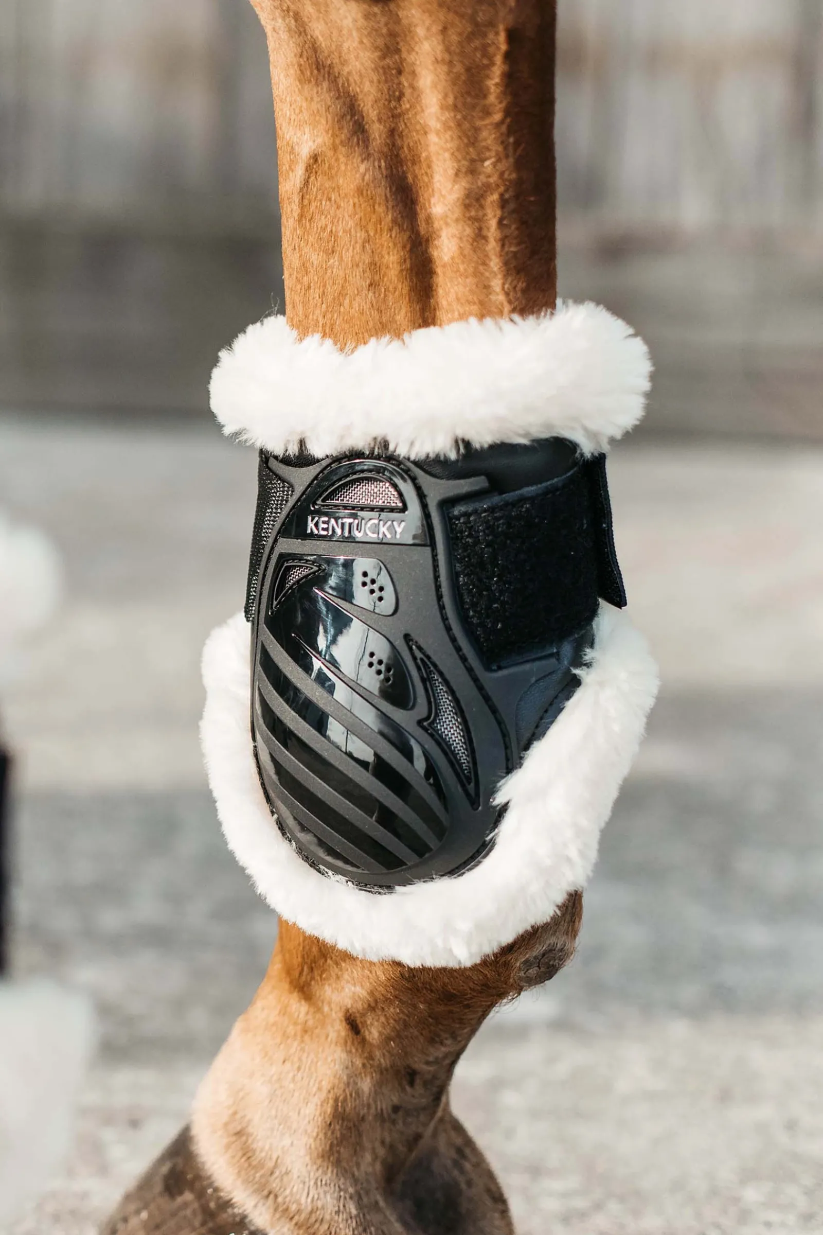 Online kentucky Horsewear Vegan Sheepskin Hivutussuojat Nuorille Hevosille Black