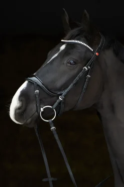 Discount kieffer Ultrasoft® Amy Shine Suitset Black