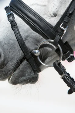 Clearance kieffer Ultrasoft® Economy Suitset Black