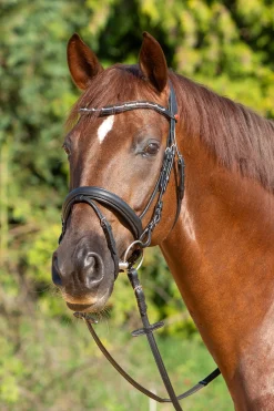 Hot kieffer Ultrasoft® Economy Ii Suitset Black