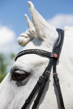 Clearance kieffer Ultrasoft® Fashion Suitset Black