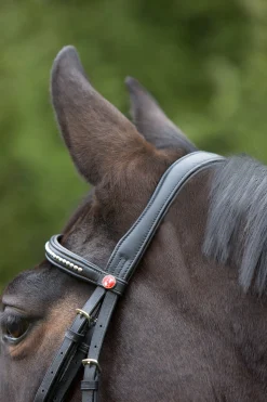 kieffer Ultrasoft® Suitset Black/Black