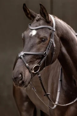 lemieux Arika Meksikolaiset Suitset Black/Silver