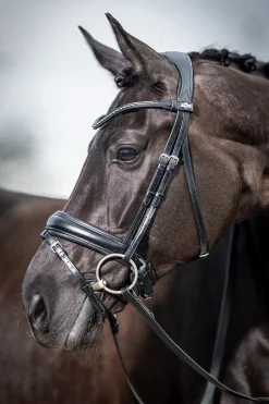 New lemieux Classic Dressage Bridle Black