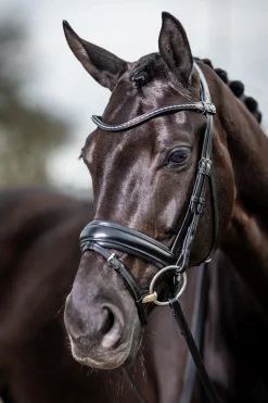 New lemieux Classic Dressage Bridle Black