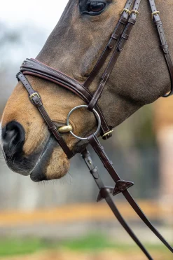 Outlet lemieux Competiton Flash Bridle Havana Brown