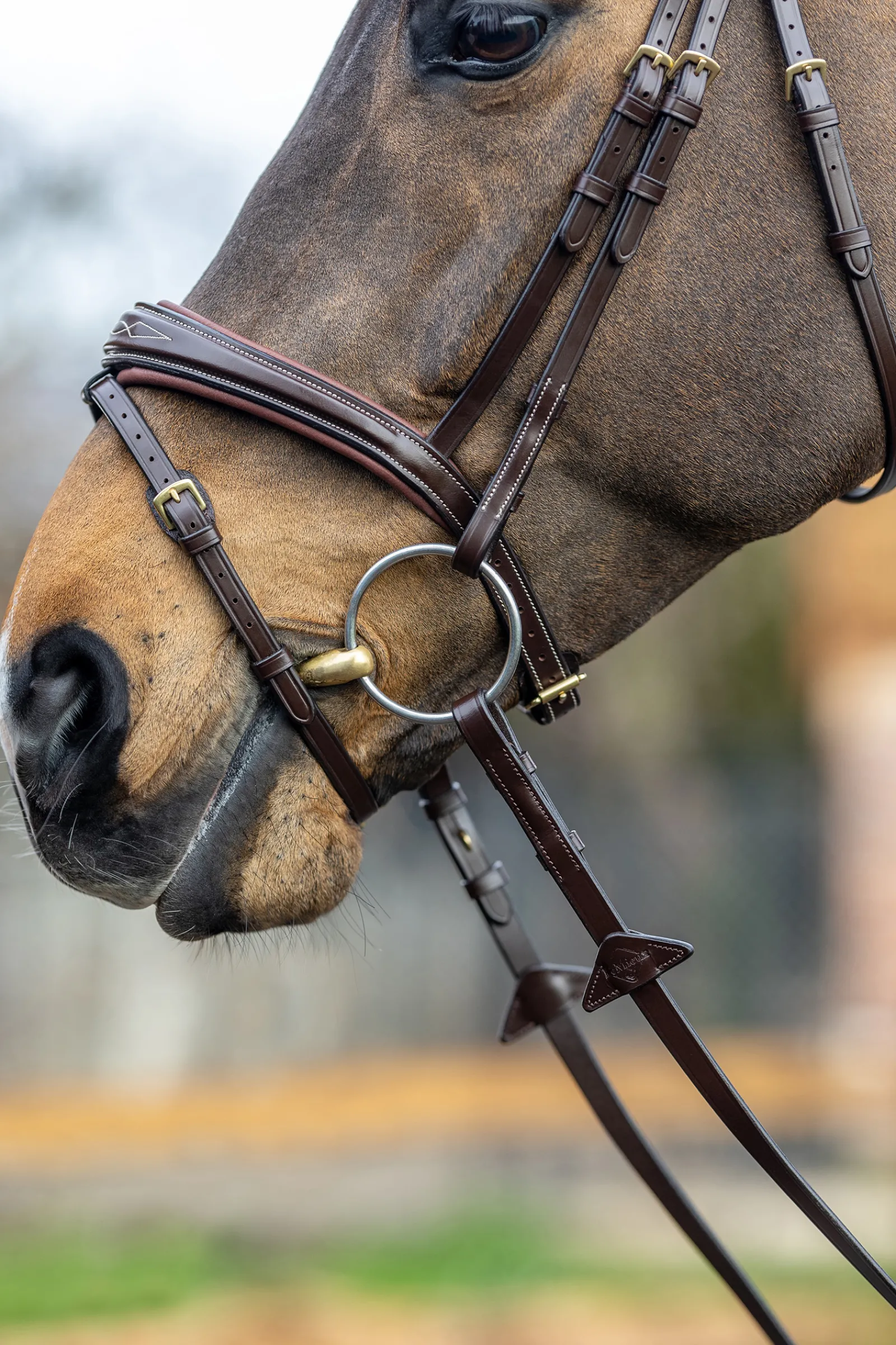 Outlet lemieux Competiton Flash Bridle Havana Brown