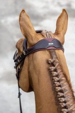 Outlet lemieux Competiton Flash Bridle Havana Brown