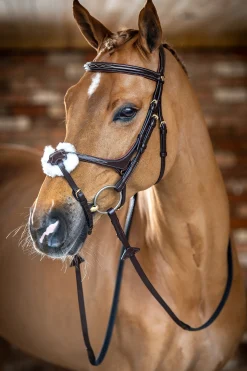 Outlet lemieux Grackle Bridle Havana Brown