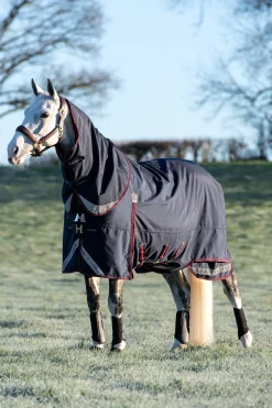Hot lemieux Kudos Lightweight Turnout Rug, 100G Navy