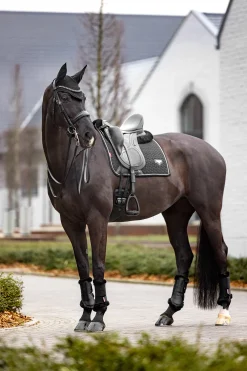 Online lemieux Puissance Suede Koulusatulahuopa Black