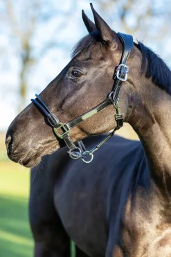 Discount lemieux Rope Control Riimu Black