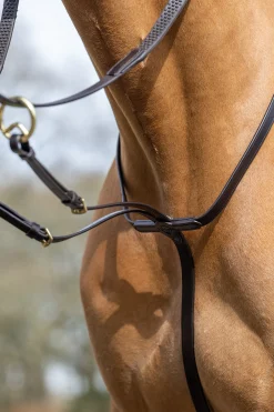 Sale lemieux Running Martingale Brown