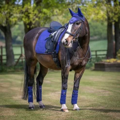 Clearance lemieux Seasonal Luxury -Kouluratsastussatulahuopa Ink Blue